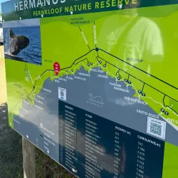 Cliff Path Walks - Hermanus