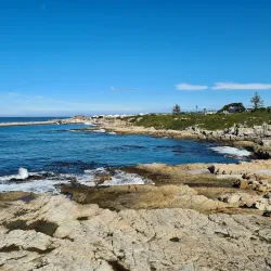 Cliff Path Walks - Hermanus