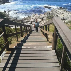 Cliff Path Walks - Hermanus