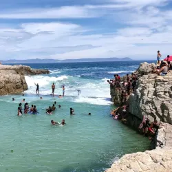 Cliff Path Walks - Hermanus