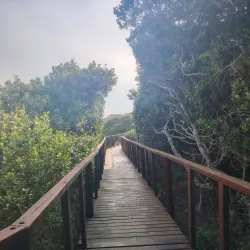 Cliff Path Walks - Hermanus