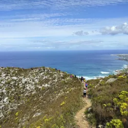 Fernkloof Nature Reserve - Hermanus