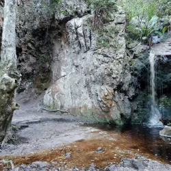 Fernkloof Nature Reserve - Hermanus