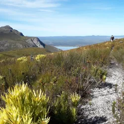 Fernkloof Nature Reserve - Hermanus