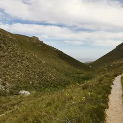 Fernkloof Nature Reserve - Hermanus