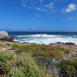 Hermanus Botanical Gardens - Hermanus