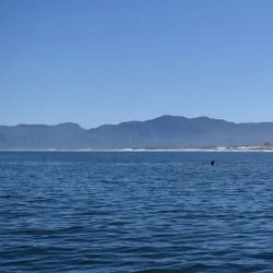 Hermanus Botanical Gardens - Hermanus