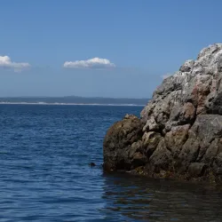 Hermanus Botanical Gardens - Hermanus