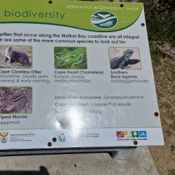 Hermanus Botanical Gardens - Hermanus