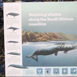 Hermanus Botanical Gardens - Hermanus