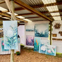 Hermanus Country Market - Hermanus