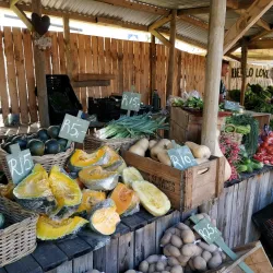 Hermanus Country Market - Hermanus