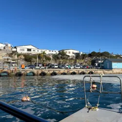 Hermanus Whale Watching - Hermanus