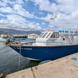 Hermanus Whale Watching - Hermanus