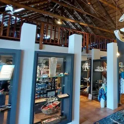 Marine Dynamics Whale Watching Tours - Hermanus