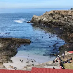 Old Harbour Museum - Hermanus