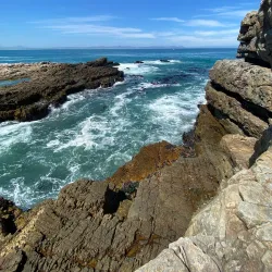 Old Harbour Museum - Hermanus