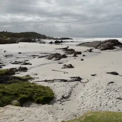 Voëlklip Beach - Hermanus