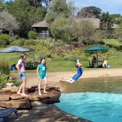 Hillcrest Botanical Gardens - Hillcrest