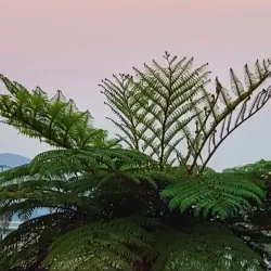 Hillcrest Community Theatre - Hillcrest