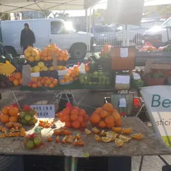 Hillcrest Farmers Market - Hillcrest
