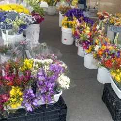 Hillcrest Farmers Market - Hillcrest