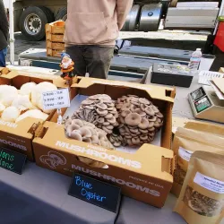 Hillcrest Farmers Market - Hillcrest