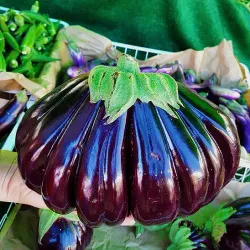 Hillcrest Farmers Market - Hillcrest