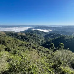Natal Bird Sanctuary - Hillcrest