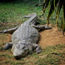 Natal Bird Sanctuary - Hillcrest
