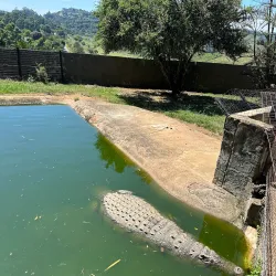 PheZulu Safari Park - Hillcrest