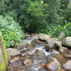 Giba Gorge Mountain Bike Park - Howick