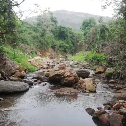 Giba Gorge Mountain Bike Park - Howick