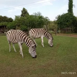 Howick Nature Reserve - Howick