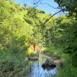 Howick Nature Reserve - Howick