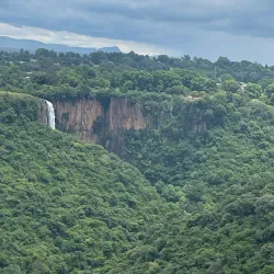 Howick Nature Reserve - Howick