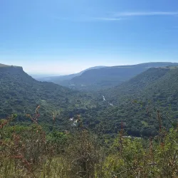 Howick Nature Reserve - Howick