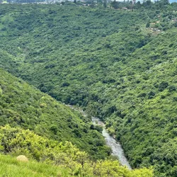 Howick Nature Reserve - Howick