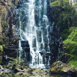 Howick Nature Reserve - Howick