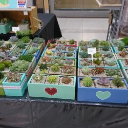 Fountains Mall - Jeffreys Bay