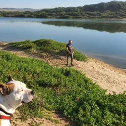 Hartenbos Lagoon - Jeffreys Bay