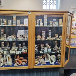 Jeffreys Bay Shell Museum - Jeffreys Bay