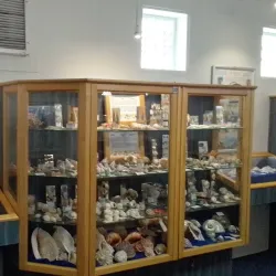 Jeffreys Bay Shell Museum - Jeffreys Bay