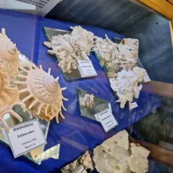 Jeffreys Bay Surf Museum - Jeffreys Bay