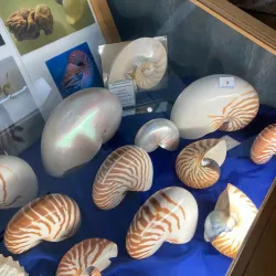 Jeffreys Bay Surf Museum - Jeffreys Bay