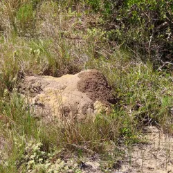 Kabeljous Nature Reserve - Jeffreys Bay