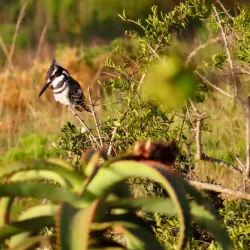 Kabeljous Nature Reserve - Jeffreys Bay