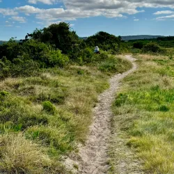 Kabeljous Nature Reserve - Jeffreys Bay