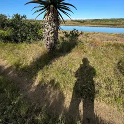 Kabeljous Nature Reserve - Jeffreys Bay