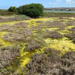 Kabeljous Nature Reserve - Jeffreys Bay